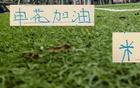 本周末申花比赛有央视CCTV直播 再见到米内罗可能要等亚冠二级赛