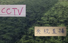 官方转播计划表!海港跟山东泰山一周有2次CCTV直播 不愧是中超夺冠最多队伍